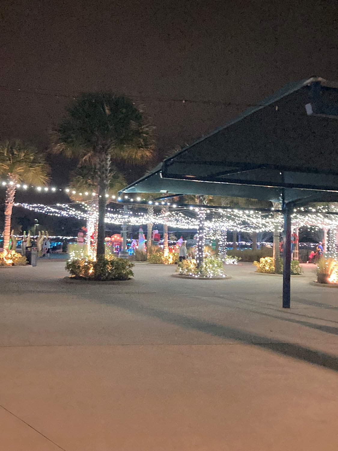 Bright lights give Nocatee a festive glow throughout the month of December.